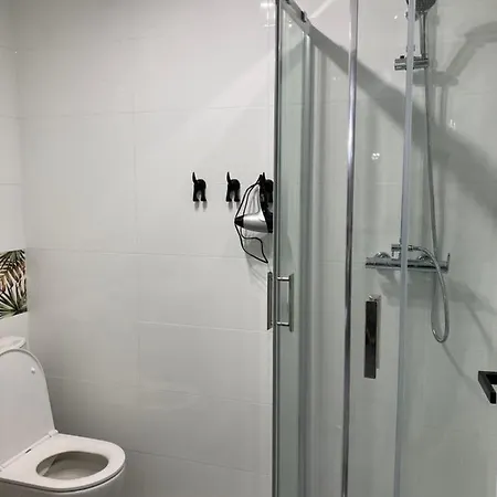 Apartament Swobodna No.2 Сосновець Екстер'єр фото