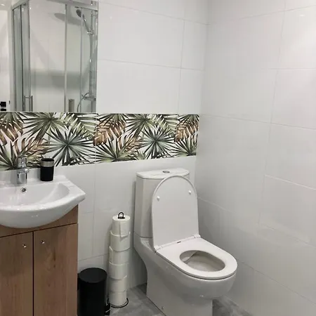 Apartament Swobodna No.2 Сосновець Екстер'єр фото
